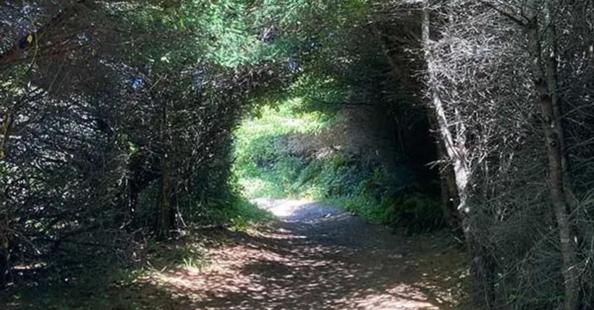 Blog Post Feature Images (7)