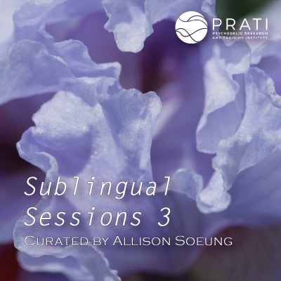Sublingual-Sessions-3-artwork