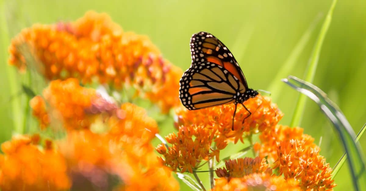 Blog Post Feature Images (12)