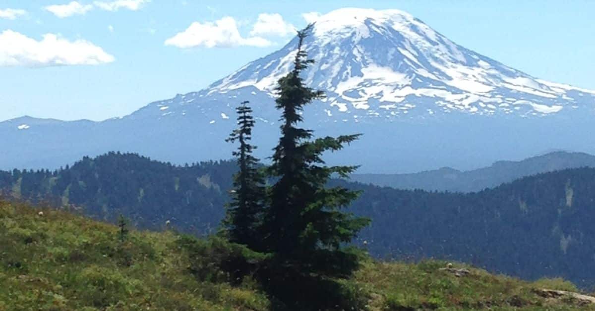 Blog Post Feature Images (9)