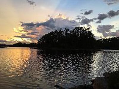 PRATI Reconnections Webinar Series: Psychedelics and Climate Change in the Great Turning with Jamie Harvie