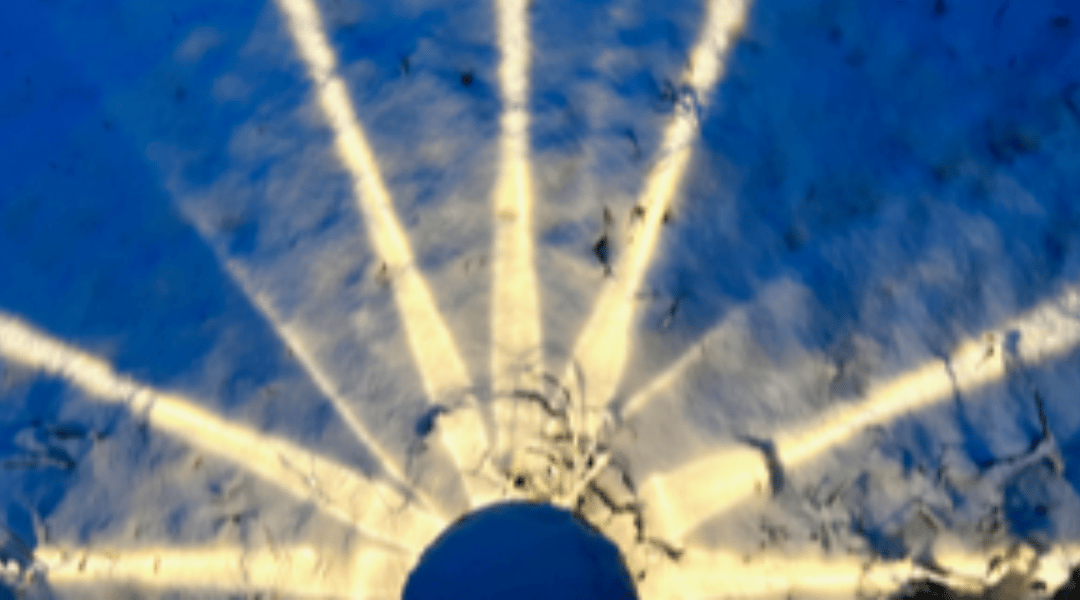 Photos From the PRATI Community – Tony Rooney