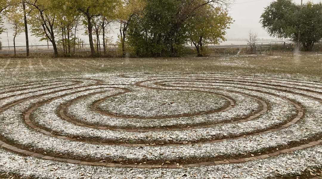 Sensing Into Emergence