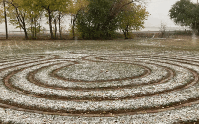 Sensing Into Emergence