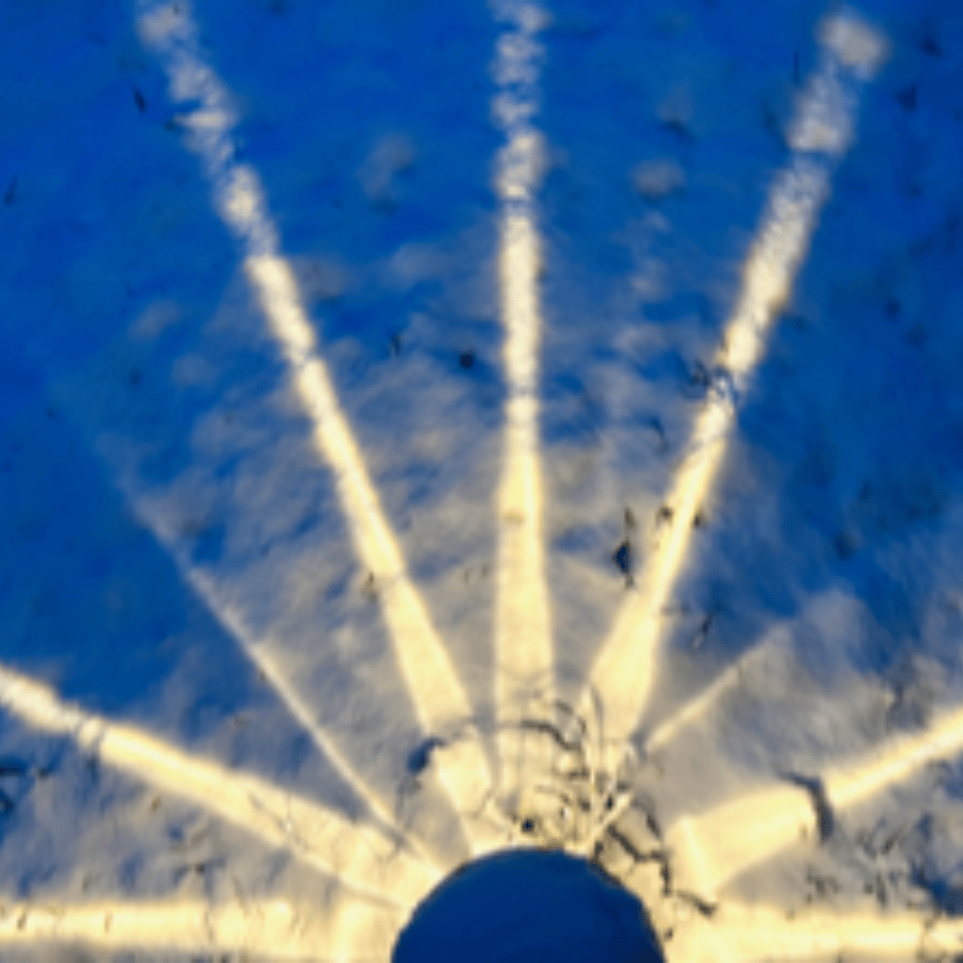 December Newsletter Images (2) vases of flowers