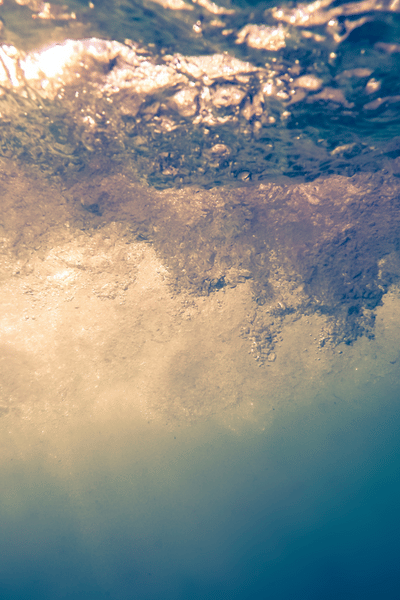 3 murmuration of birds