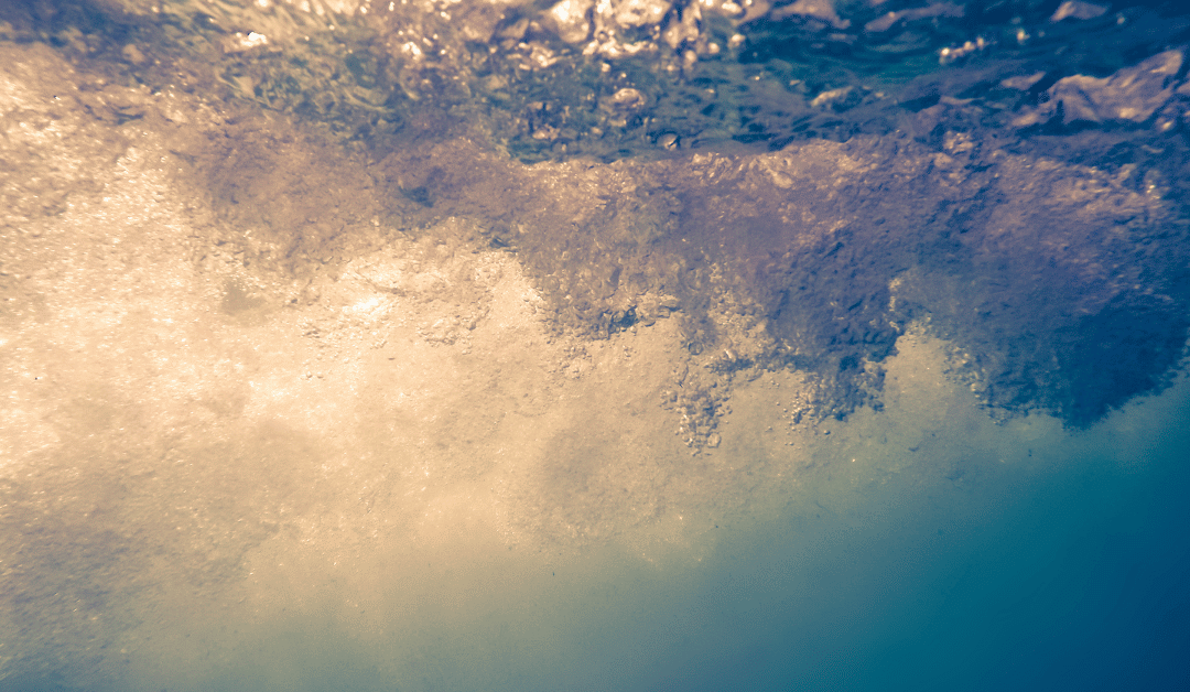 Lorie Gearhart – Art & Integration Feature