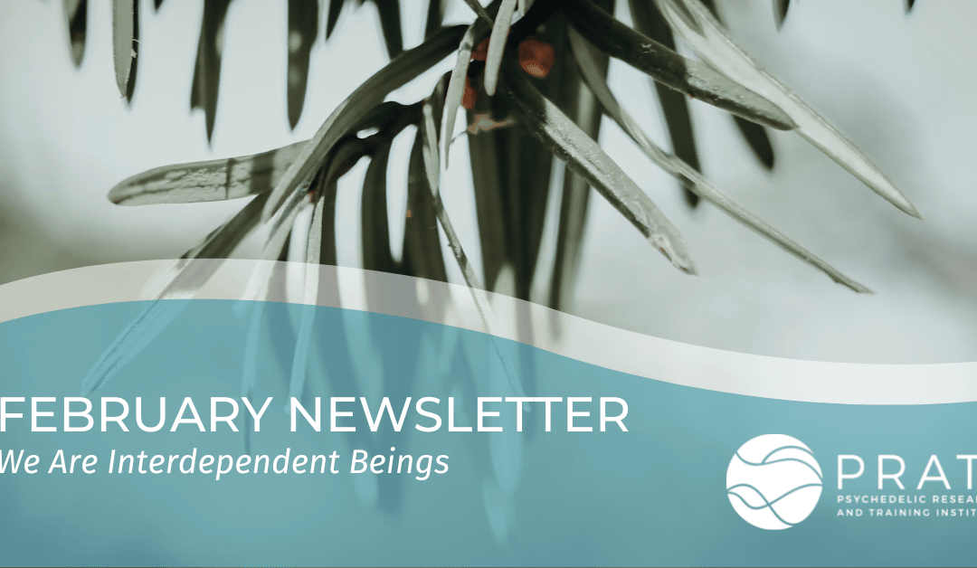 February 2023 Newsletter