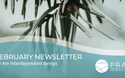 February 2023 Newsletter