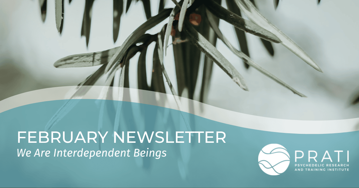 Featured Blog Images Feb 2023 Newsletter (8)