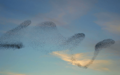 Healing Is Relational