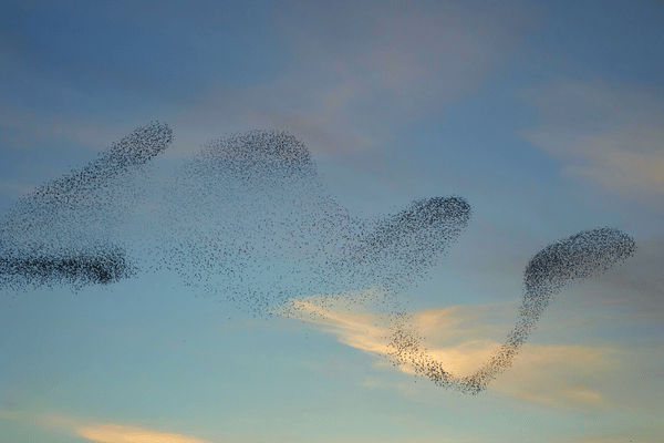 Healing Is Relational