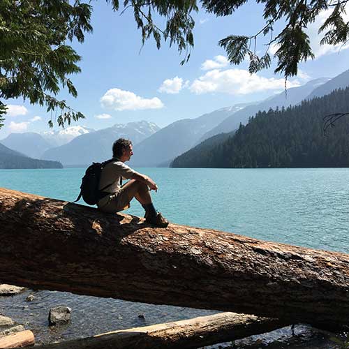 Reconnecting with the More than Human World: A Gratitude Practice and Training