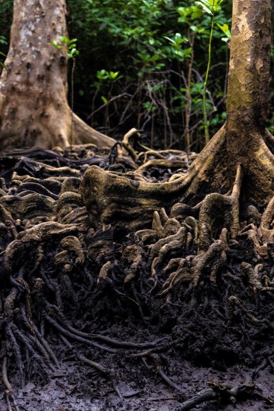 1 abstract watercolor painting