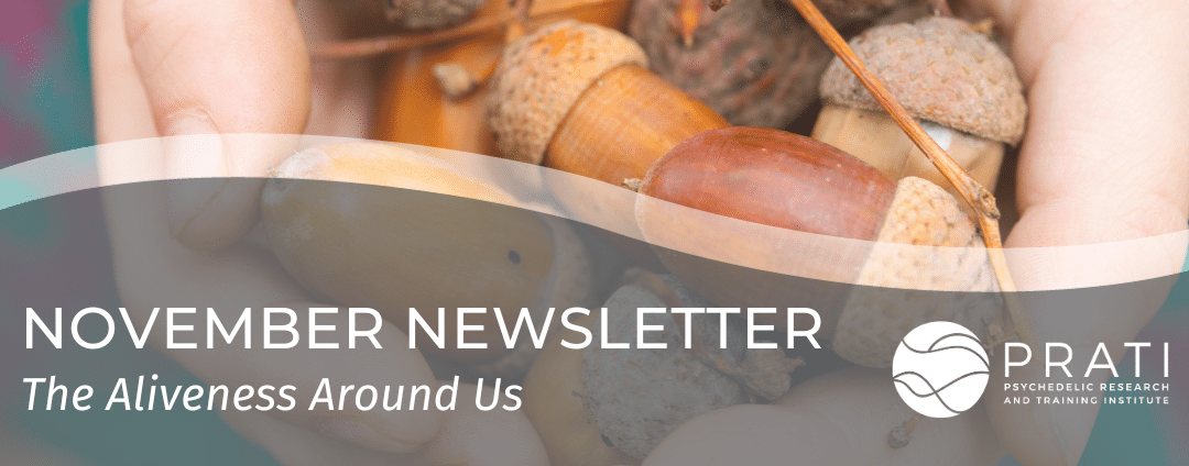 November 2023 Newsletter – The Aliveness Around Us