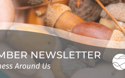November 2023 Newsletter – The Aliveness Around Us