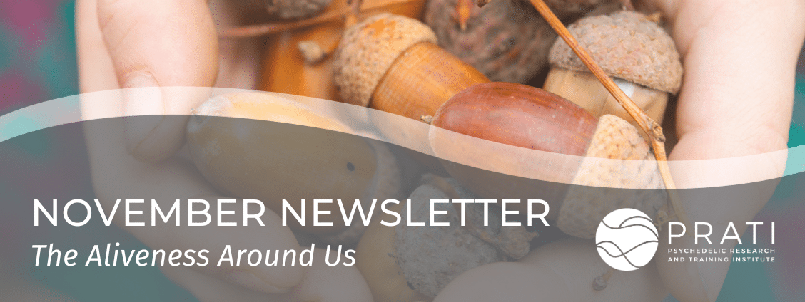 Email Newsletter Hero Template (7)