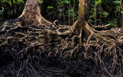 For Us – Art & Integration Feature