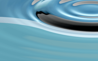 PRATI ED TRANSITION ANNOUNCEMENT