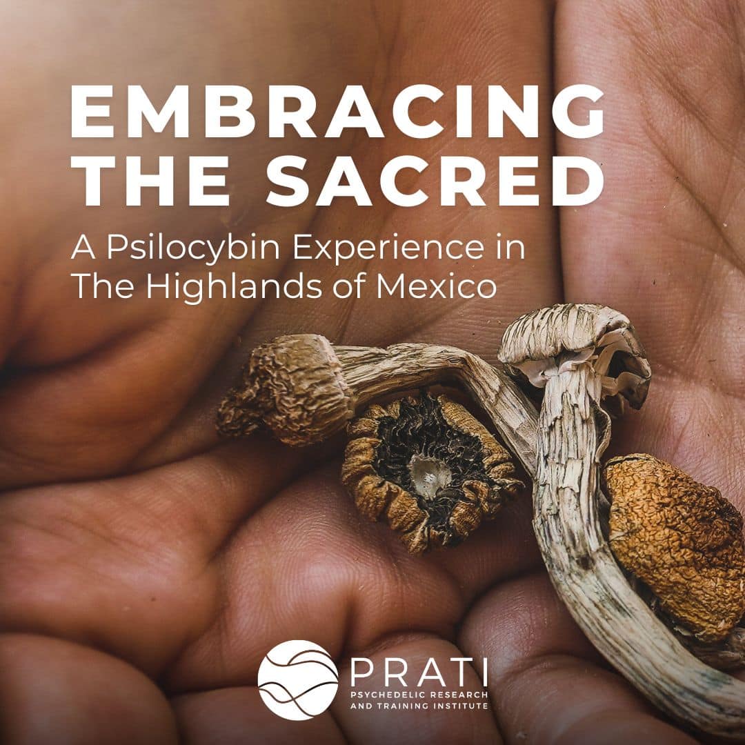 Embracing the Sacred - Product Image (2)