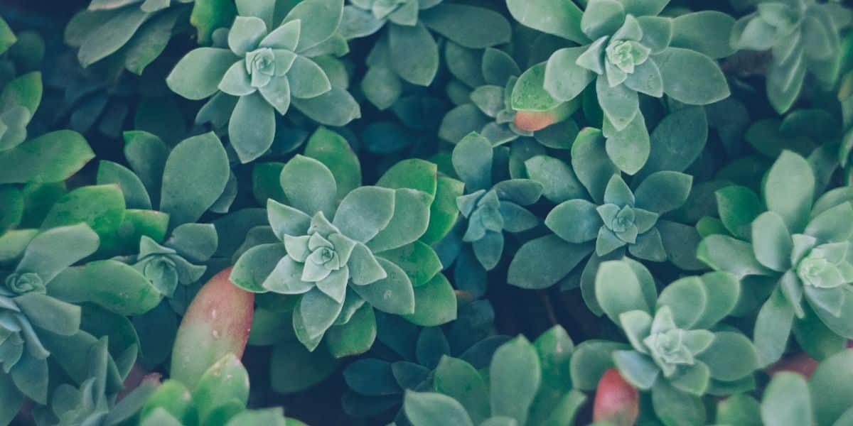 Blog Post Feature Images (18)