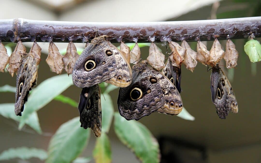 Ketamine as a Catalyst for Paradigm Change in Mental Health