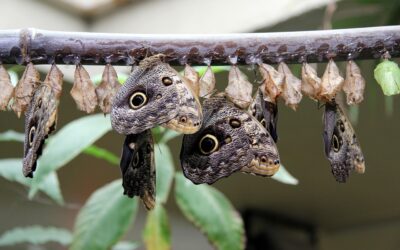 Ketamine as a Catalyst for Paradigm Change in Mental Health